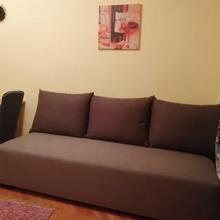 Apartmán Dimitrije Zlatibor