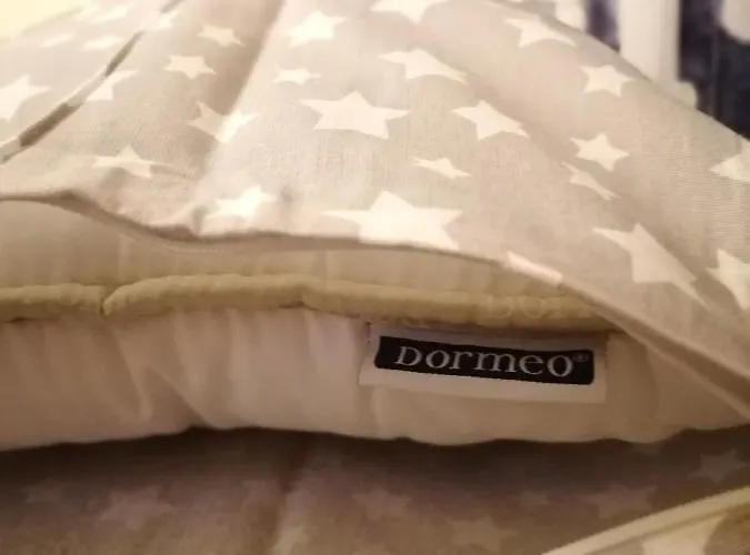 Dimitrije 아파트 *