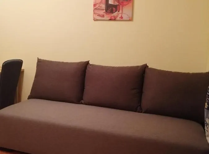 아파트 Dimitrije 즐라티보