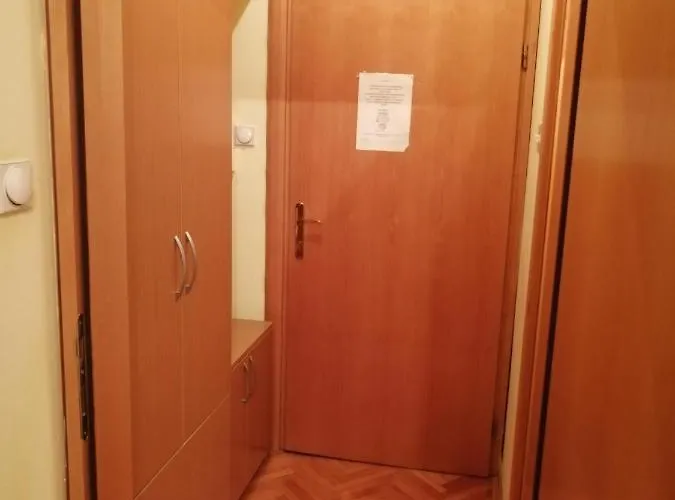 Dimitrije 즐라티보